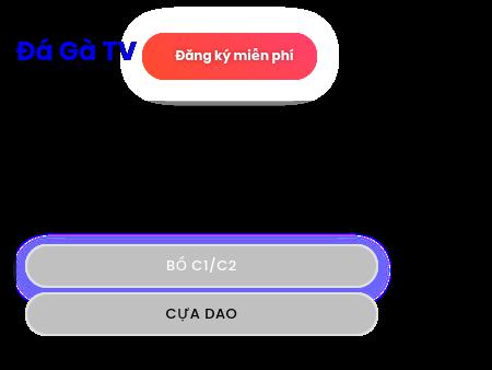 Lisa K. McCamey, Attorney at Law