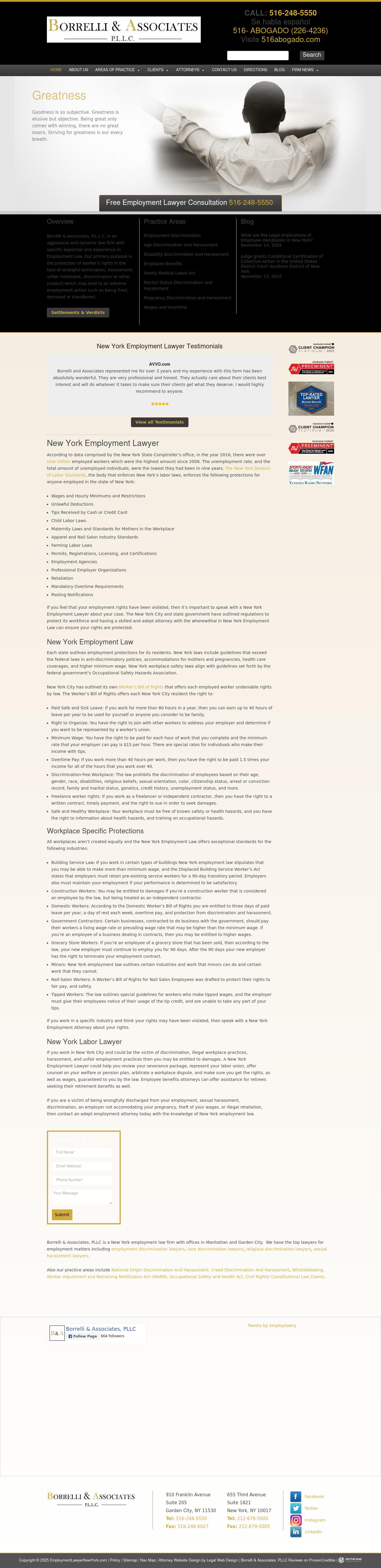 Borrelli & Associates, P.L.L.C. - New York NY Lawyers