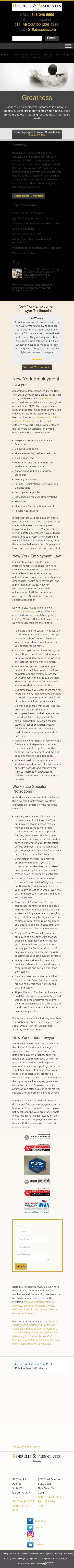 Borrelli & Associates, P.L.L.C. - Great Neck NY Lawyers