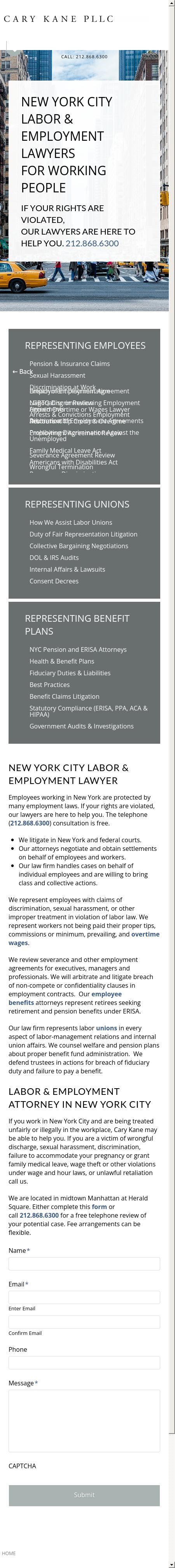 Cary Kane LLP - New York NY Lawyers