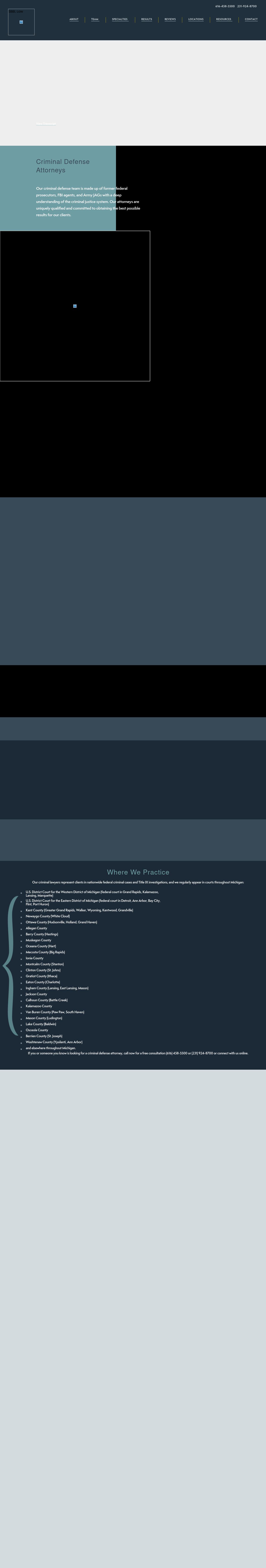 Springstead Bartish & Borgula Law, P.L.L.C - Grand Rapids MI Lawyers