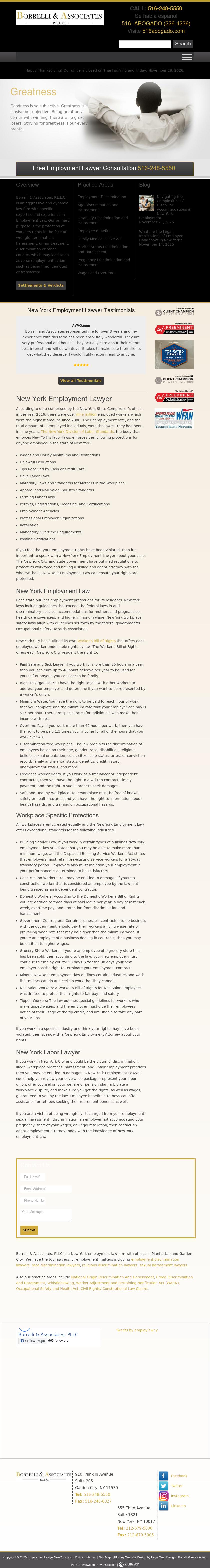 Borrelli & Associates, P.L.L.C. - Great Neck NY Lawyers